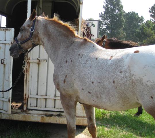 her spirit comforts mine