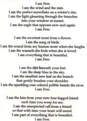 Written in Memory of my beautiful friend, a dog named Free!