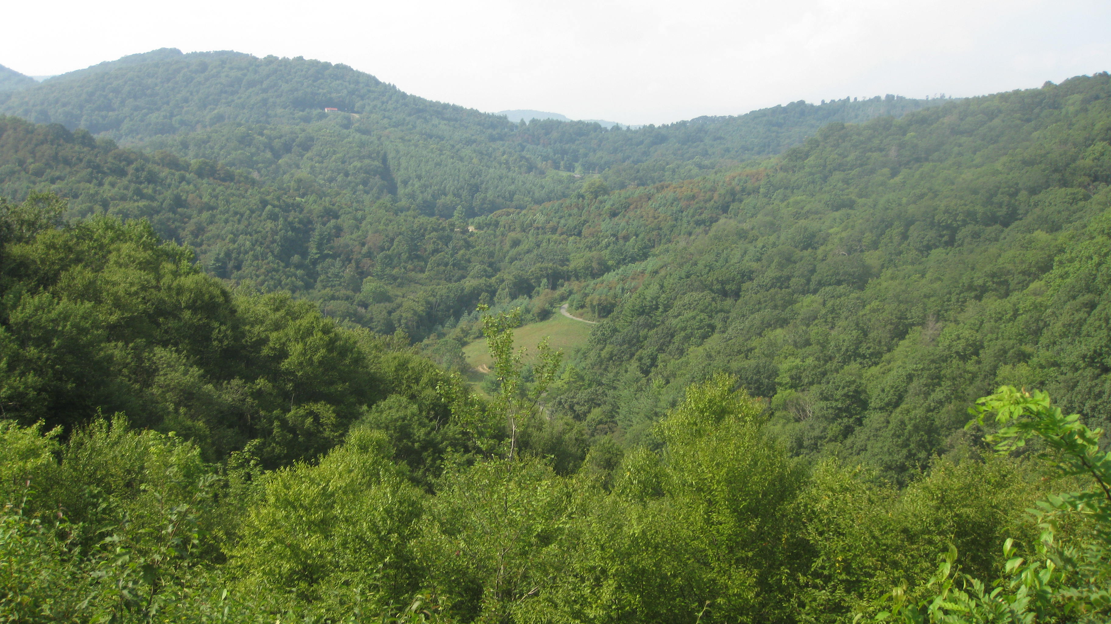 those hills sure do call my name