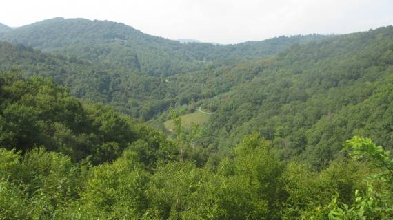 rolling green mountains those hills sure do call my name