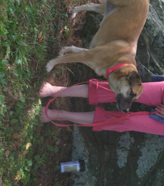 walking barefoot is the way to travel green grassy meadows where the ground is soft, white-tail deer roam and crows come calling