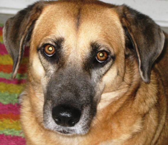 egyptian princess here Wait, I'm an insect hunter!