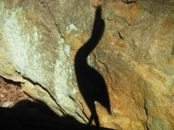 A part of me will always be the same.