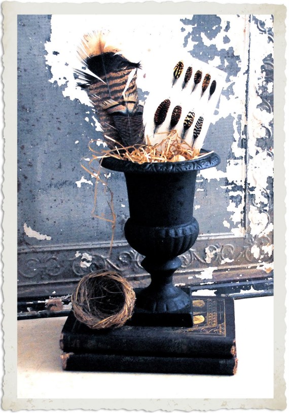 Grouse Feathers bring good medicine