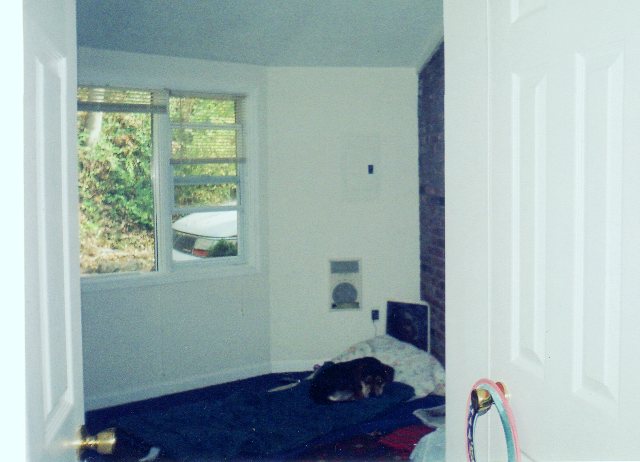 Free bit his nose to remind him it was her home and he was a guest.