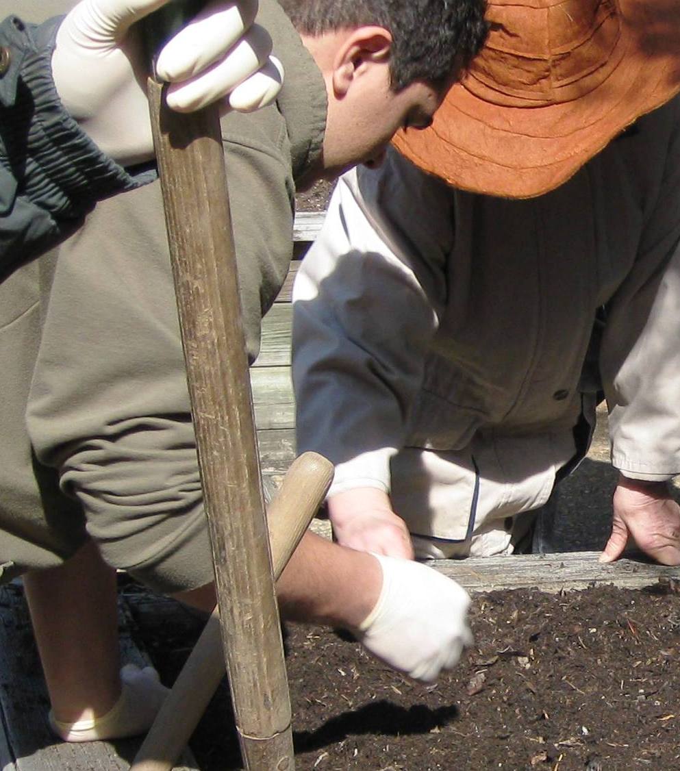 Volunteering is free! Spirits thrive in the dirt