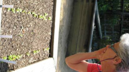 We hope the garden grows and have faith in a plentiful harvest.