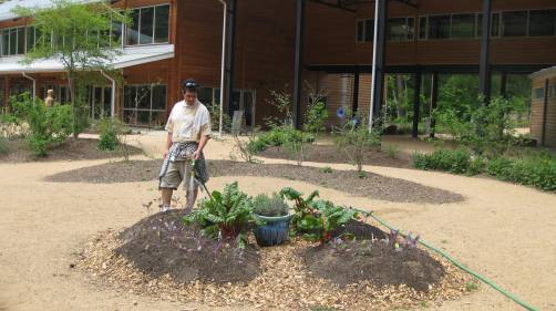a view of the big picture helps us stay hopeful