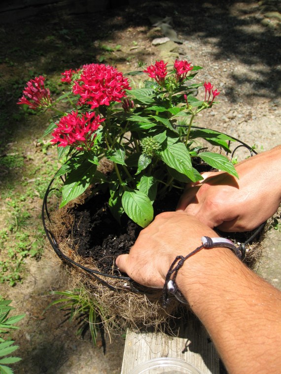 Horticultural Family Time