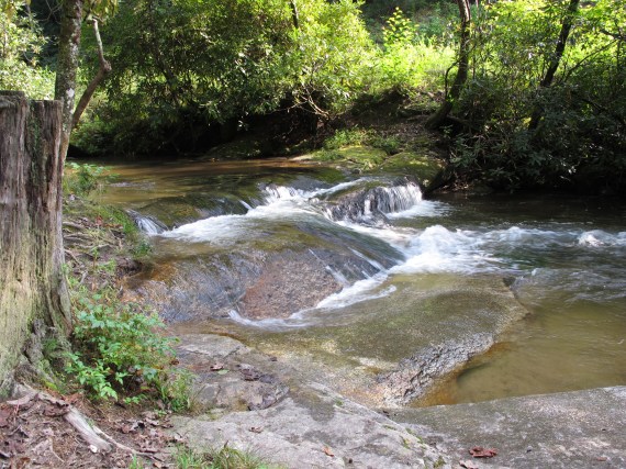 Water Energy is a Green Healing 