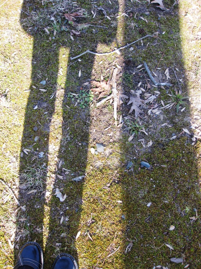 Interacting with Nature, in my shiny black shoes!