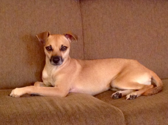 Bella, my little beauty