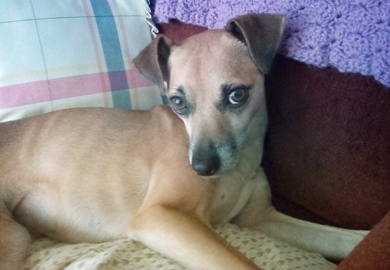 Little and Mighty Bella